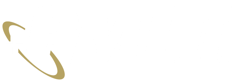 logo PMI+
