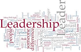 La Leadership Di Progetto Pmi It